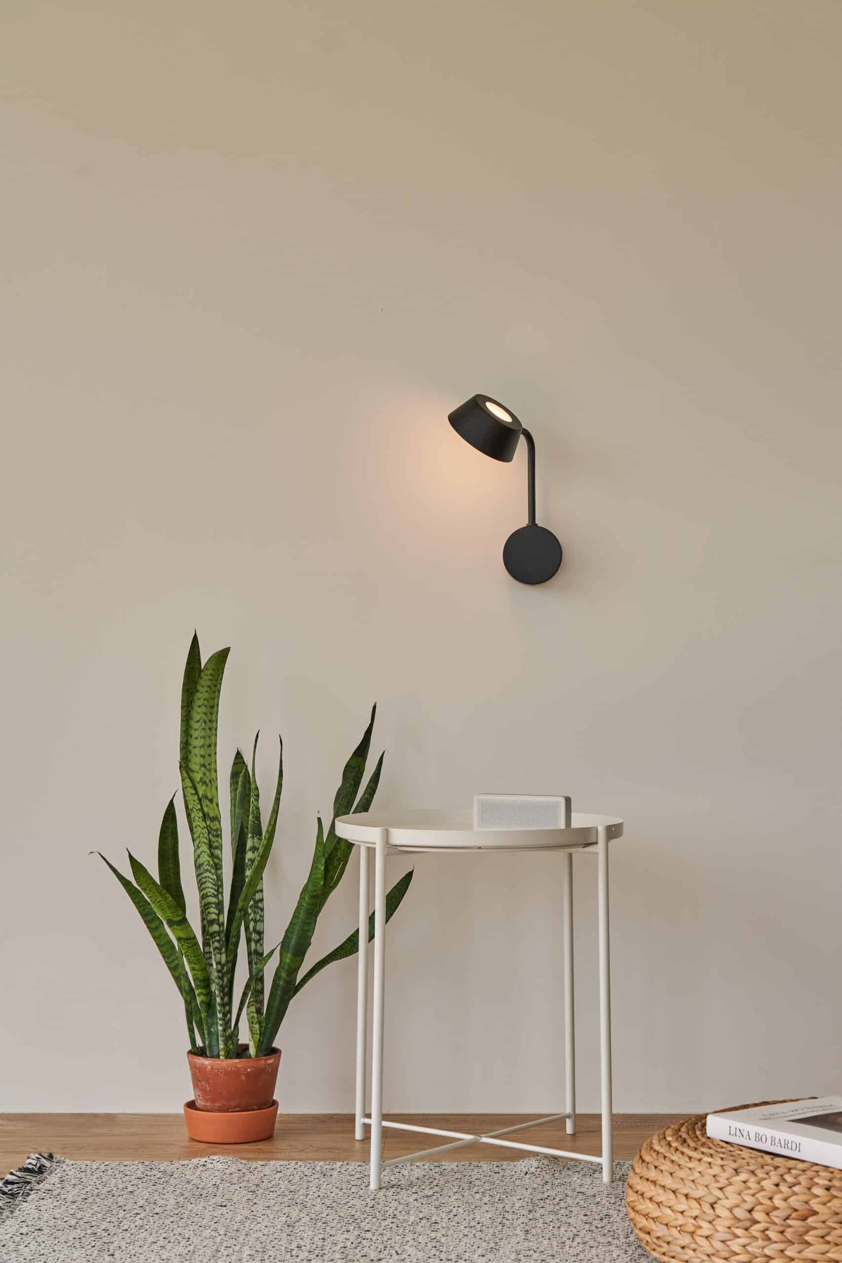 OLO Wu Wall Sconce