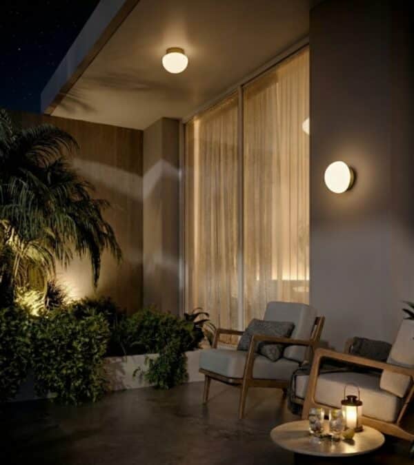 Pensee Wall/Ceiling Light