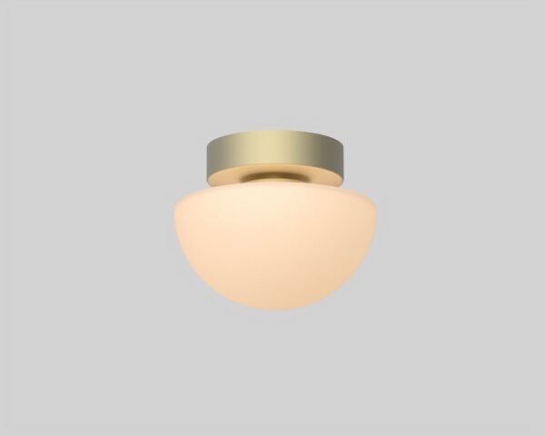 Pensee Wall/Ceiling Light