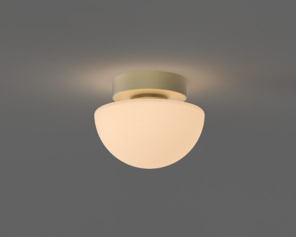 Pensee Wall/Ceiling Light