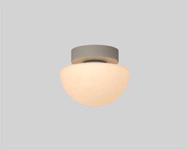 Pensee Wall/Ceiling Light