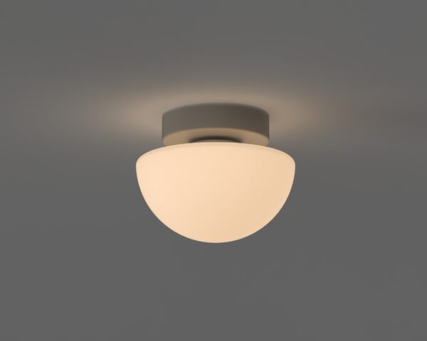 Pensee Wall/Ceiling Light