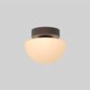 SLD-SG-7992C-PCO-SILO_1 Pensee Wall/Ceiling Light