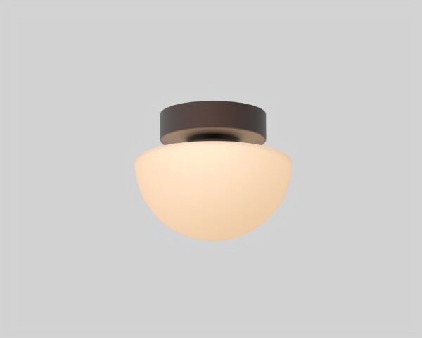 Pensee Wall/Ceiling Light