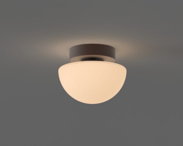 Pensee Wall/Ceiling Light